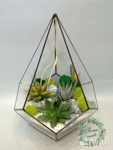 Флорариум. Суккуленты. Ижевск