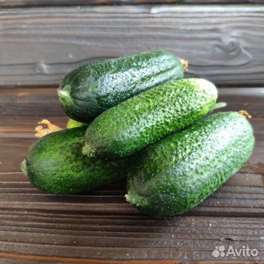 Огурцы грунтовые