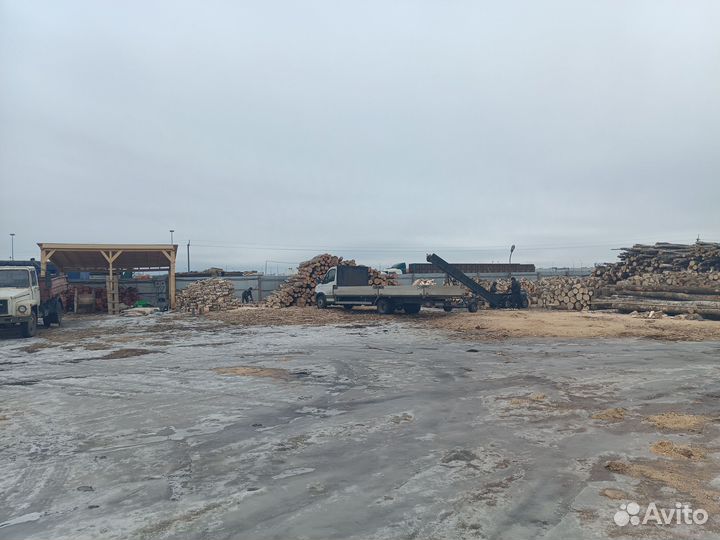 Дрова буковые от 5м3