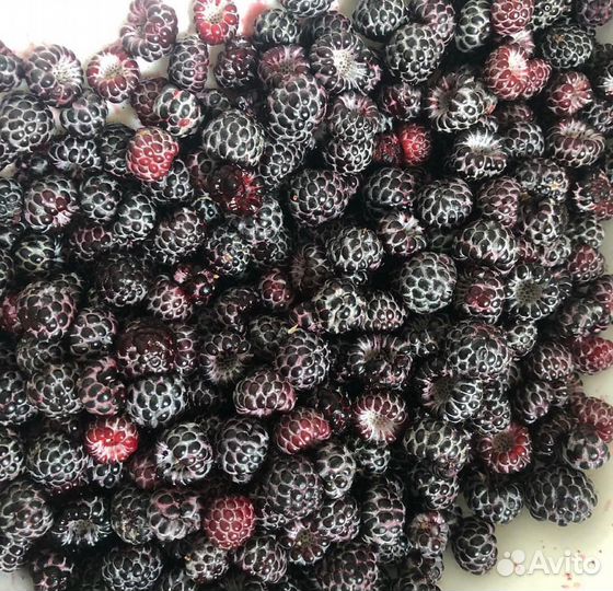 Клубника, малина