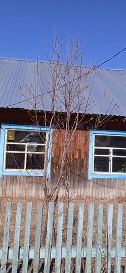 2-к. квартира, 52,1 м², 1/1 эт.