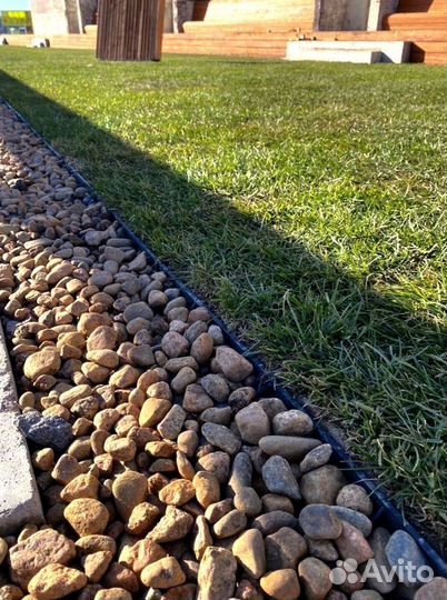 Рулонный газон