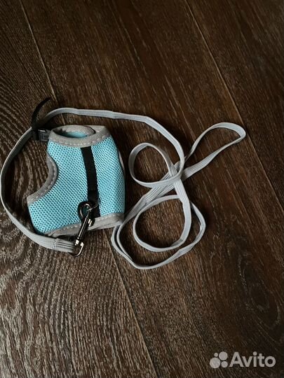 Шлейка для грызунов