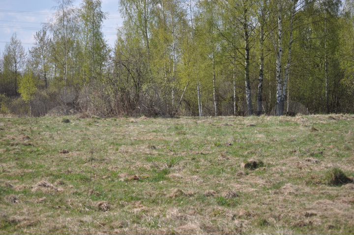Участок 40 сот. (ИЖС)
