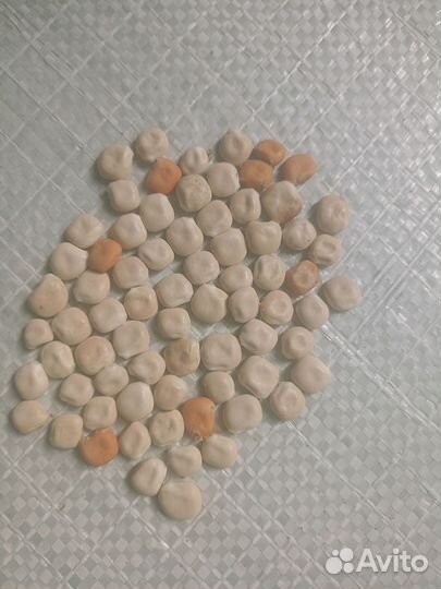 Семена люпина