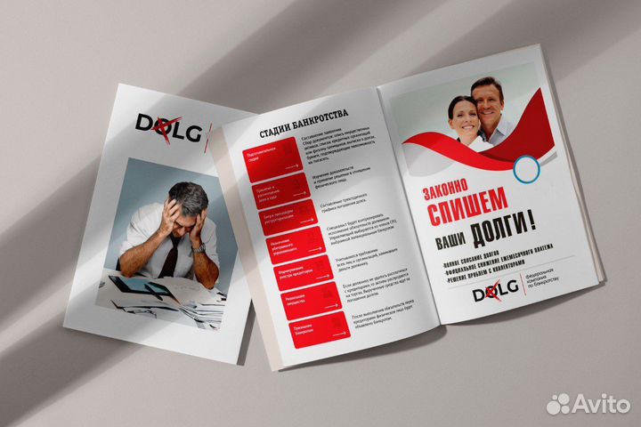 Франшиза юридического бизнеса по списанию долгов