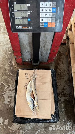 Сиг вяленый опт