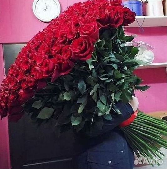 Высокие розы Гигантские розы 110