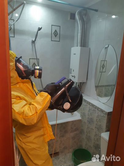 Уничтожение тараканов клопов блох муравьев клещей