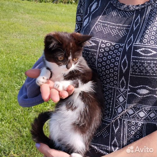 Девчуля -красотуля