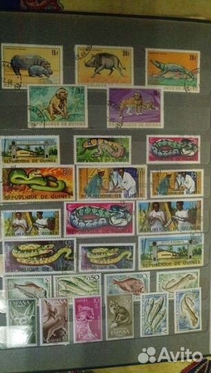 Марки Фауна Зарубежные 1913-1972г