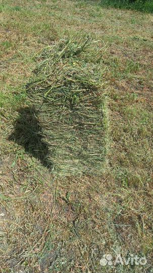 Сено солома в тюках,укос 2023г