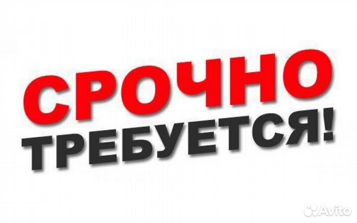 Продавец консультант ТК Сити Молл