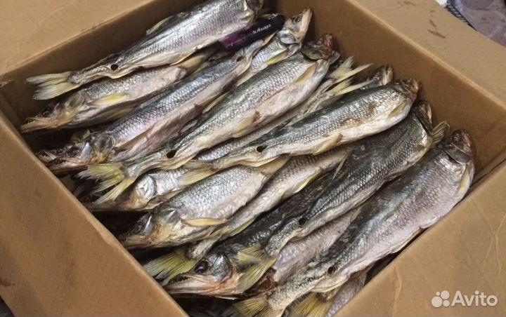 Корюшка вяленая с икрой