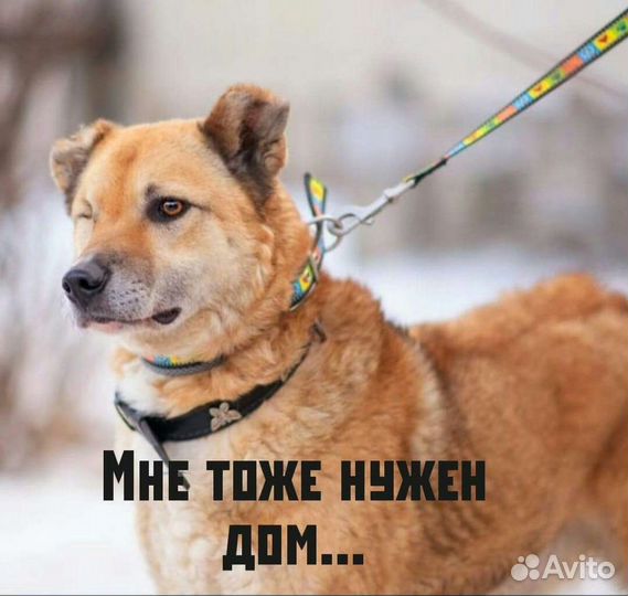 Увидь меня мой человек