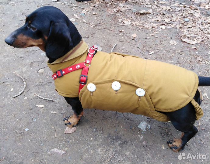Попона для средних собак