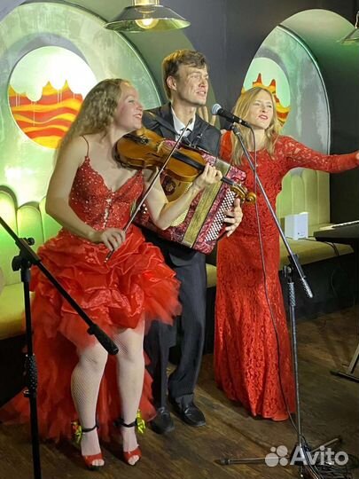 Кавер-группа Краснодар баян, скрипка, клавиши