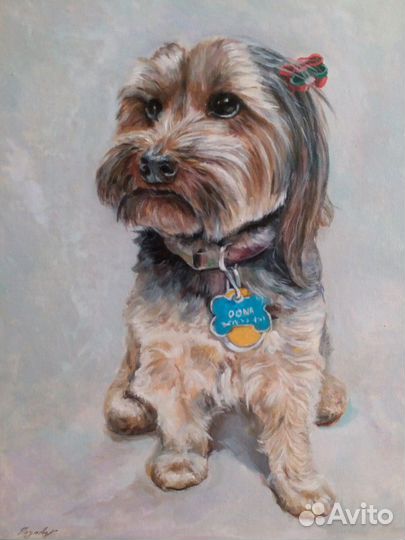 Портрет собаки, кошки, лошади, питомца на заказ. К