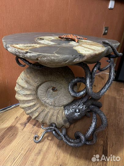 Авторский стол. С аммонитами. Палеонтология