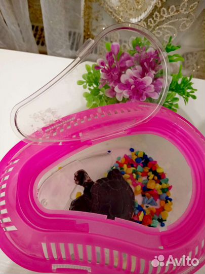 Переноска для рептилий