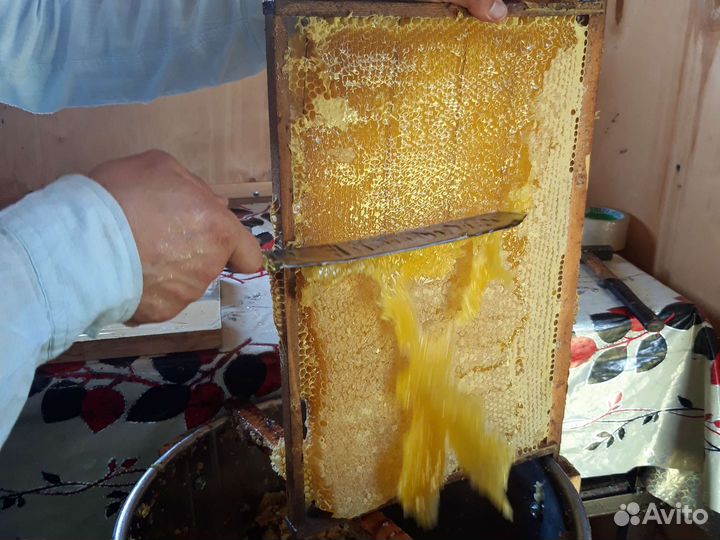 Мёд разнотравие +подсолнух