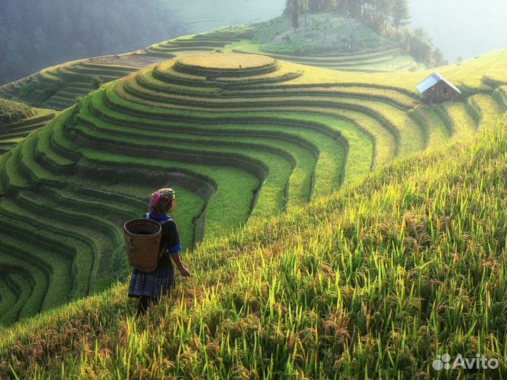 Турпоездка в Китай 6 дн