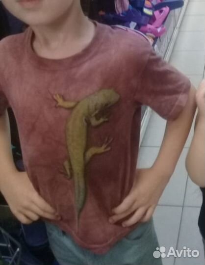 Футболка Acoola,H&m, толстовка,шорты