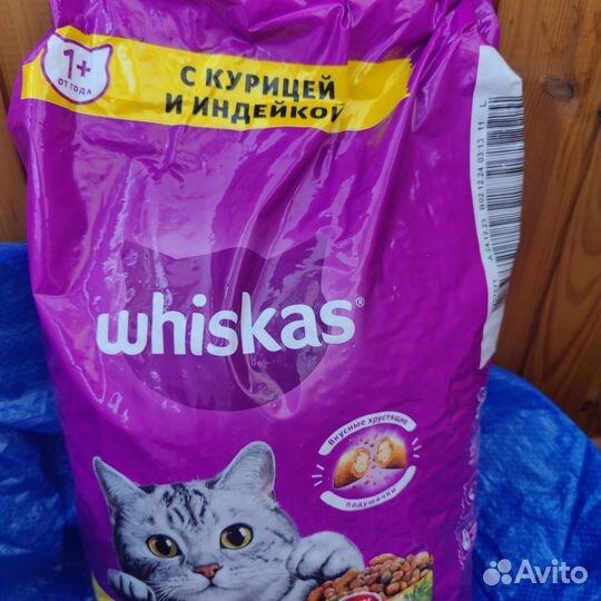 Корм вискас, whiskas 5кг