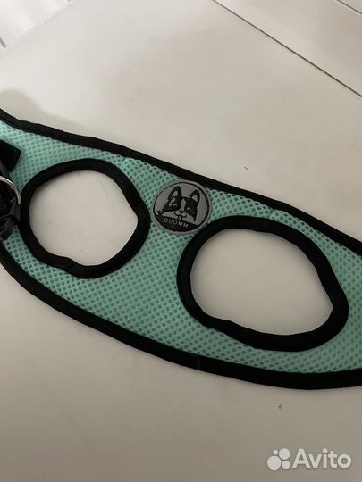 Шлейка для маленькой собаки