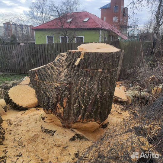 Аренда измельчитель веток / древесины