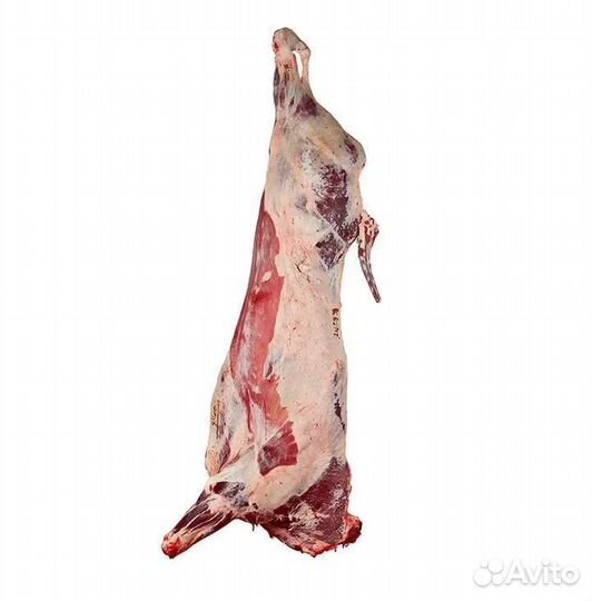 Мясо телятина