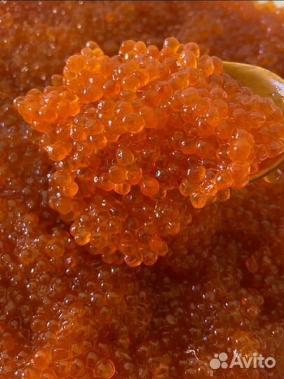 Икра горбуши