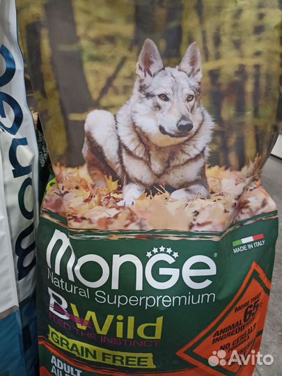 Monge корм для собак и кошек, самовывоз