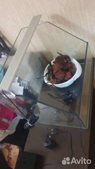 Аквариум-Палюдариум ш50 х г40 х в40