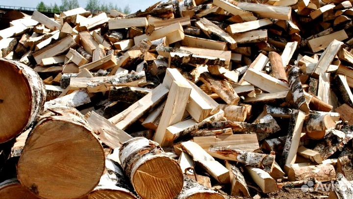 Дрова понимающих