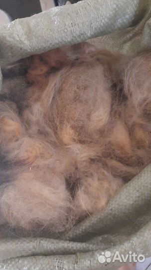 Пух вычесанный (тибетского мастифа)