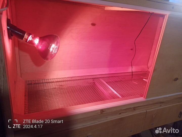 Продам брудер