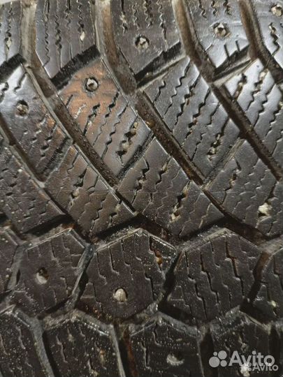 Gislaved Nord Frost 200 205/55 R16