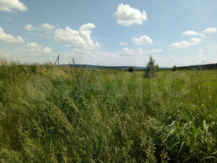 Участок 10 сот. (ИЖС)