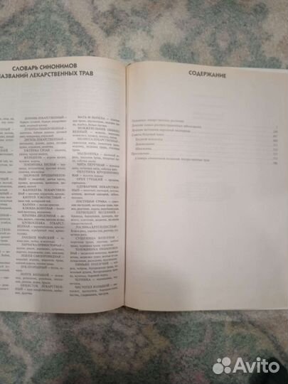 Энциклопедия Ужегов 2002 г 590 стр