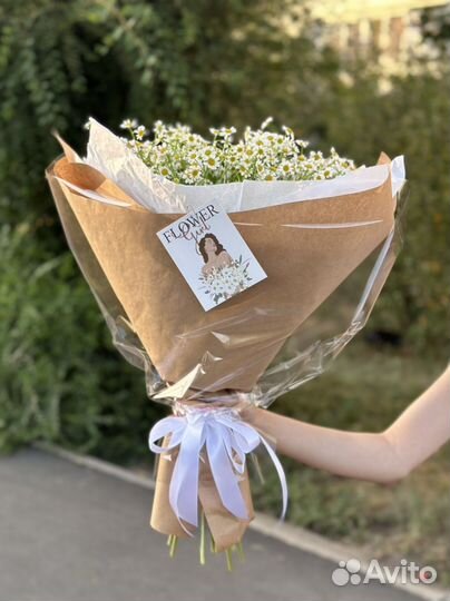 Ромашки Цветы Букет из ромашек Доставка