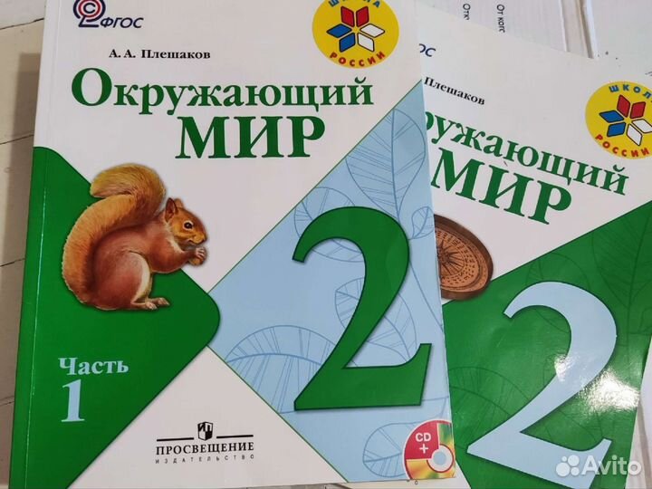 Окружающий мир 2 класс плешаков