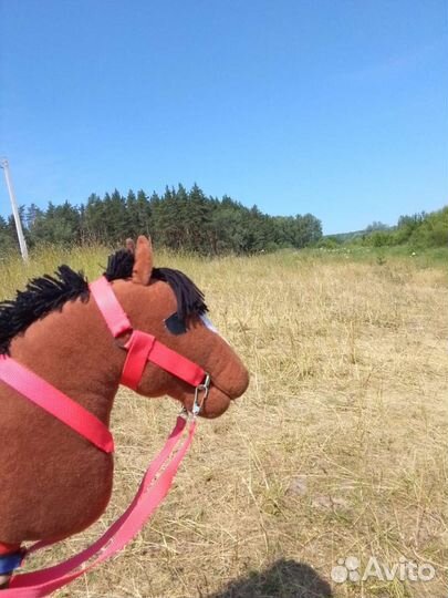 Амуниция для хоббихорса