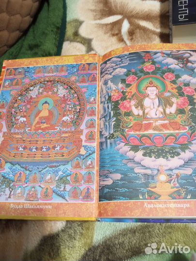 Книга Н. Правдивой 