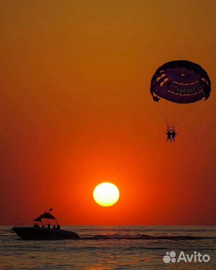 Evolution diesel bravo 2