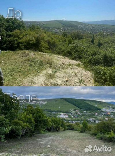 Расчистка участка, Спил деревьев