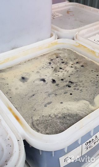 Мёд опт свежий