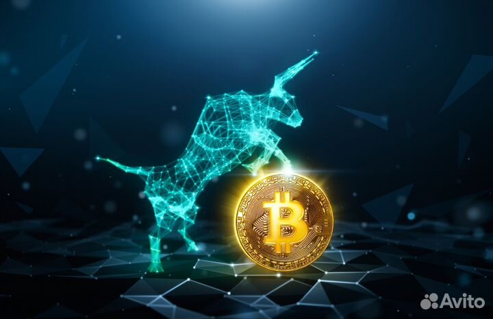 Ищу инвестора в прибыльный проект