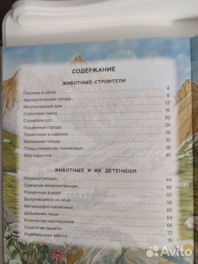 Энциклопедия