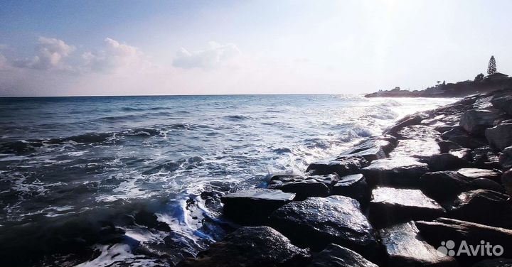 Свой человек на Кипре